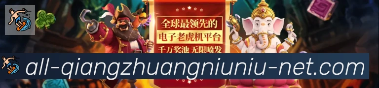未来规划